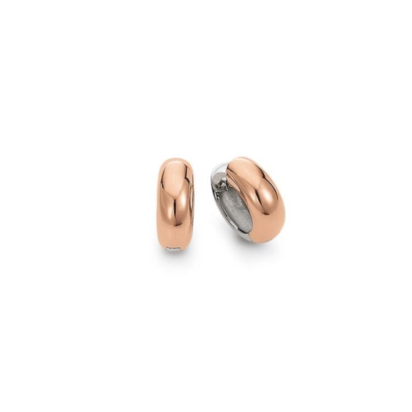 Ohrschmuck