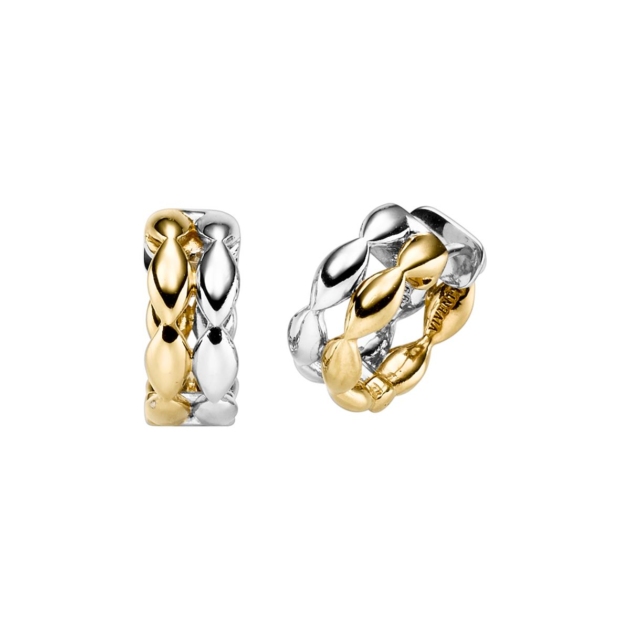 Ohrschmuck