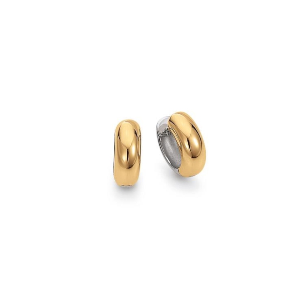 Ohrschmuck