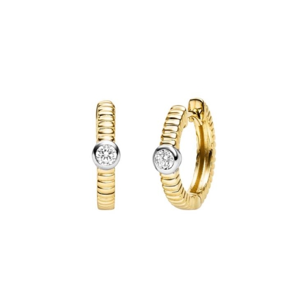 Ohrschmuck mit 2 Zirkonia